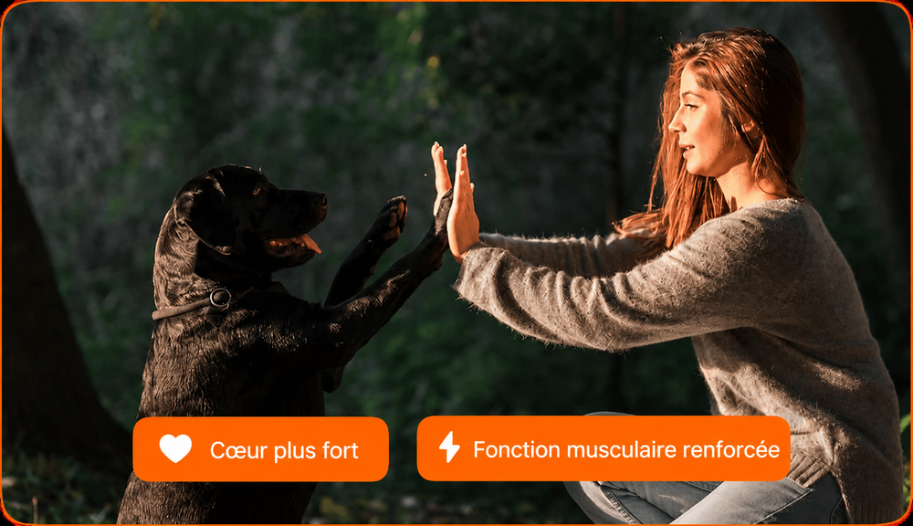 PawVitalCo FR advertorial