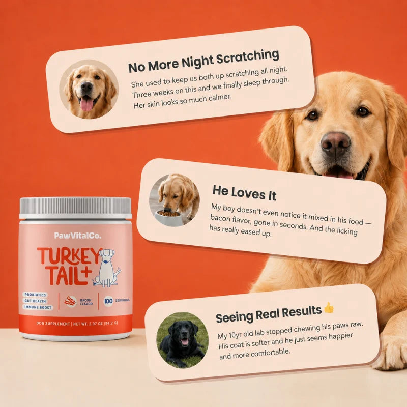CalmPaws Turkey Tail Probiotic – Itch, Skin & Gut Support for Dogs