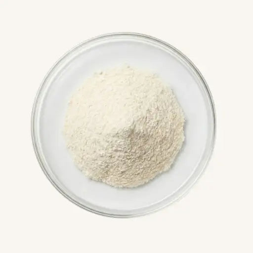 Lactobacillus Acidophilus