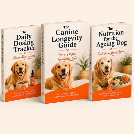 Guide + Tracker + Nutrition e-book