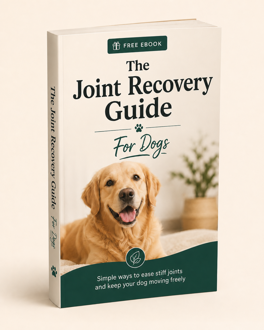 Joint Recovery Guide