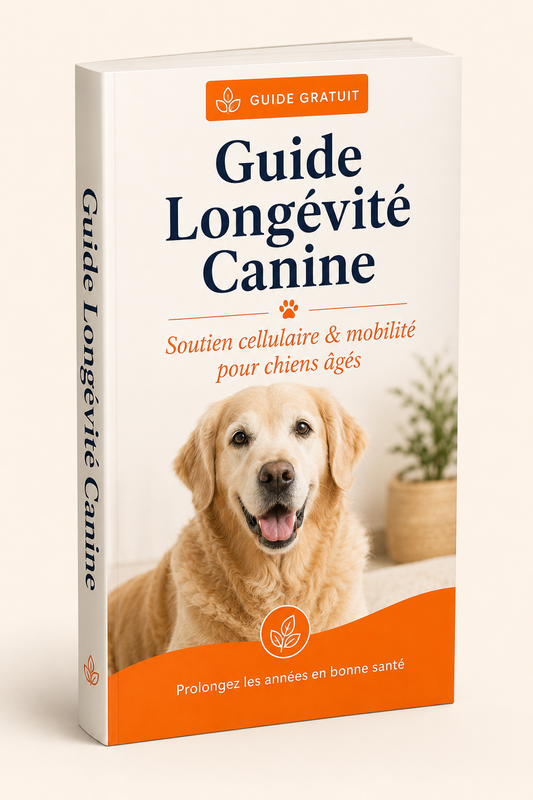 Canine Longevity Guide