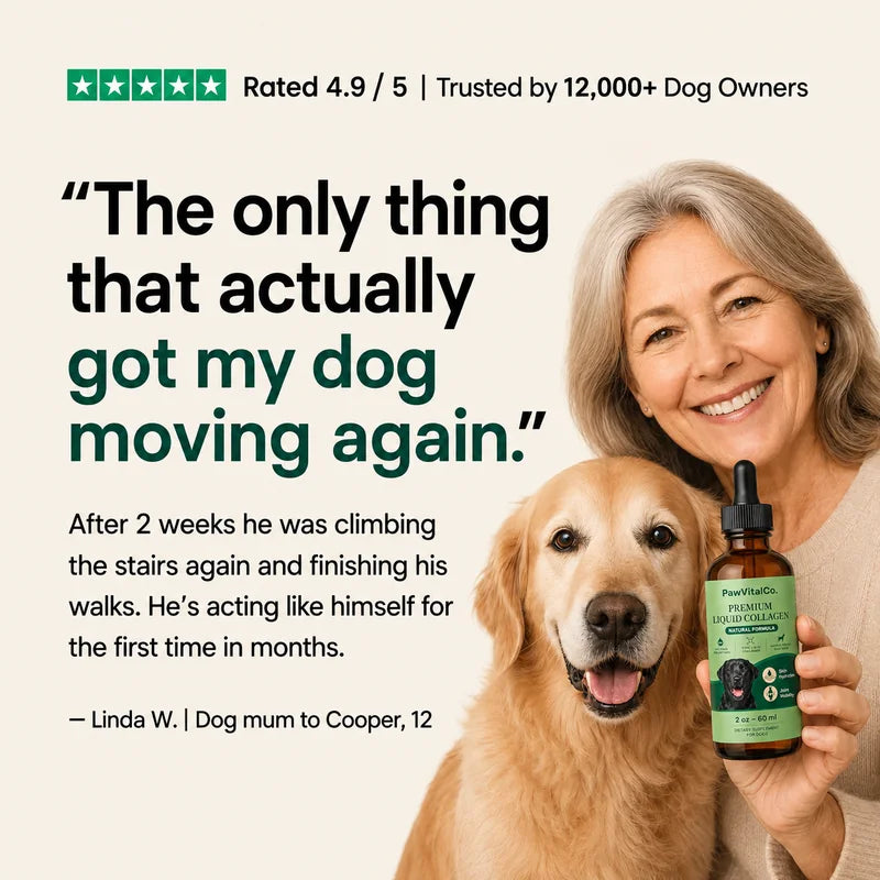 PawVitalCo Premium Liquid Collagen
