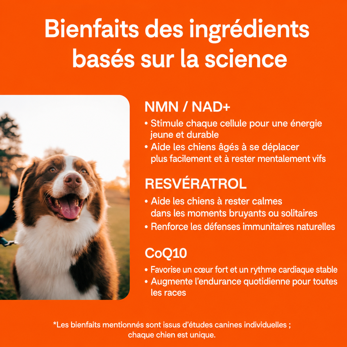 La méthode validée par la science pour une vie plus longue et en meilleure santé