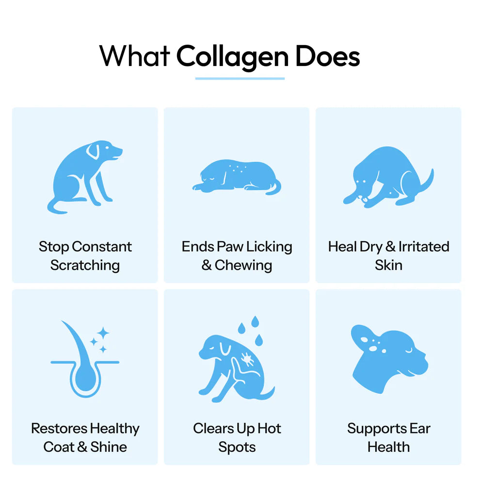 PawVitalCo Premium Liquid Collagen