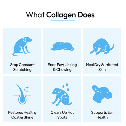 PawVitalCo Premium Liquid Collagen