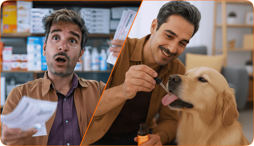 PawVitalCo FR advertorial