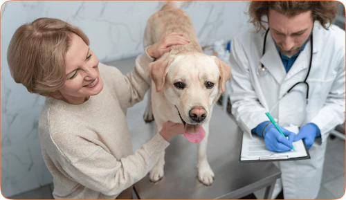 PawVitalCo