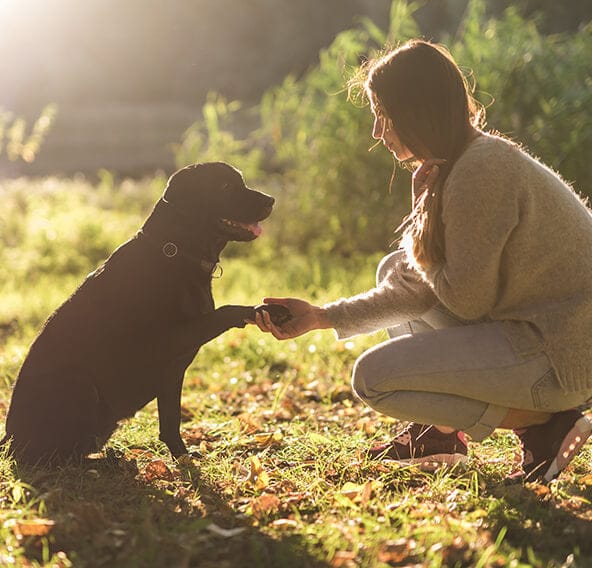 Woman greeting her dog outdoors