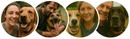 Loved by 100,000+ dogs