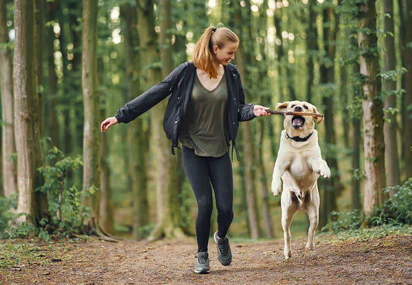 Woman playing fetch in the woods with her dog