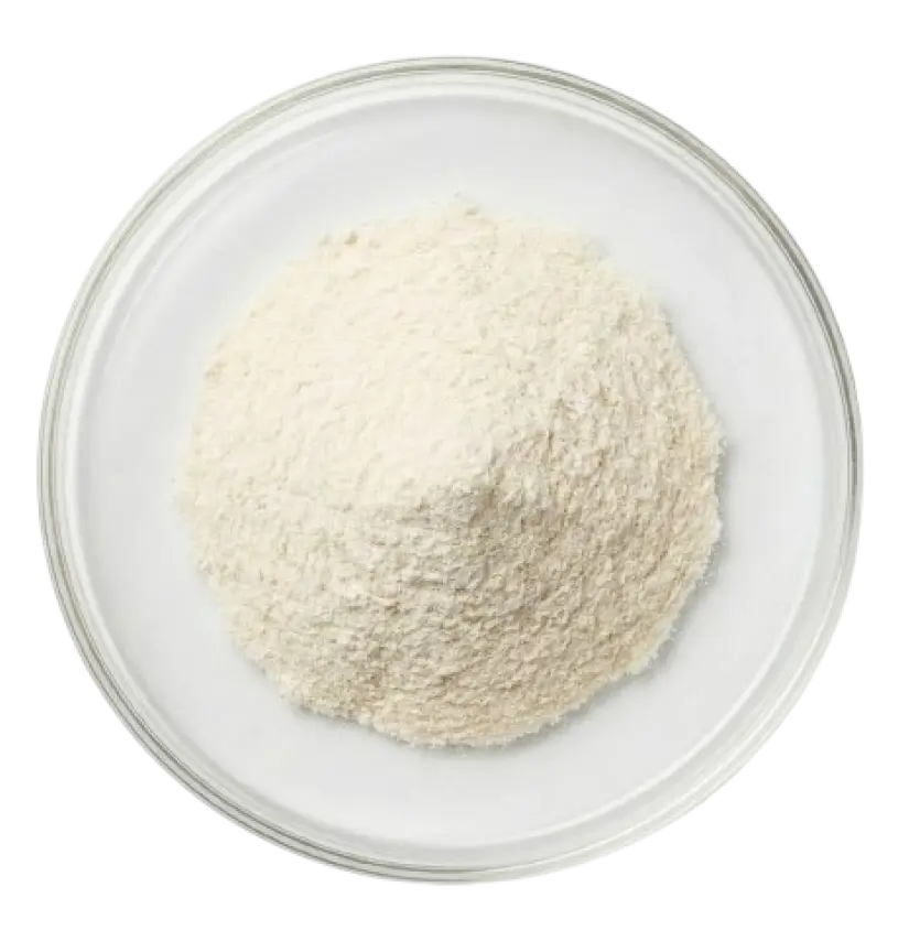Lactobacillus Acidophilus