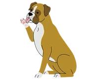 Constant Paw Licking