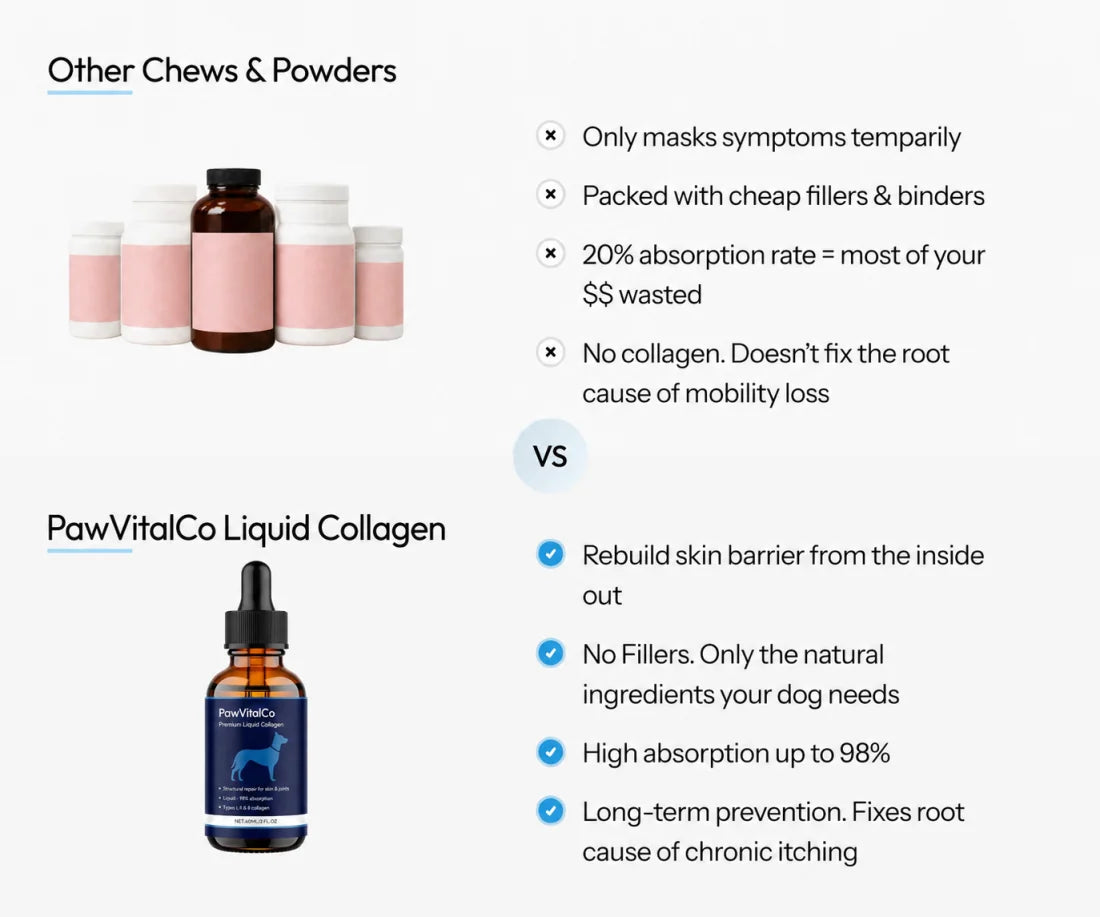 Other chews and powders versus PawVitalCo Liquid Collagen